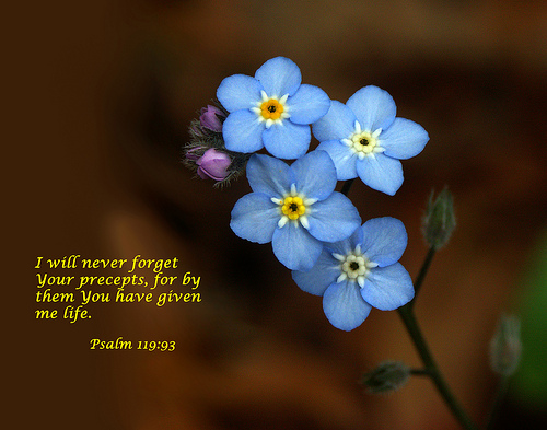 Psalm119-93