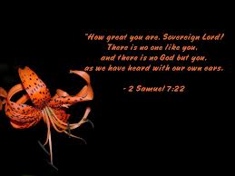 2Samuel7-22
