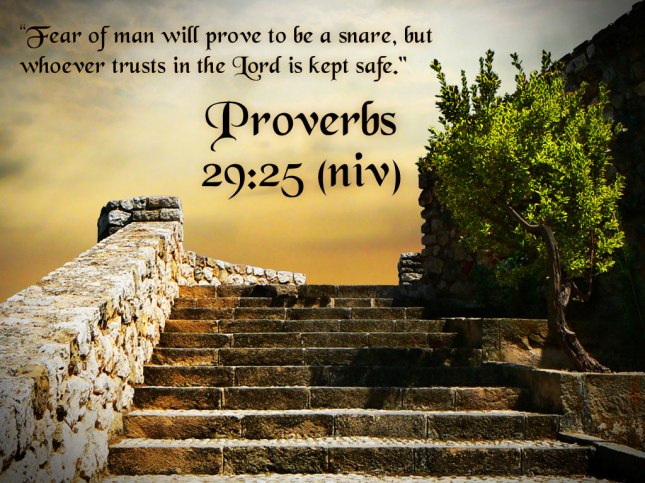 Proverbs29-25