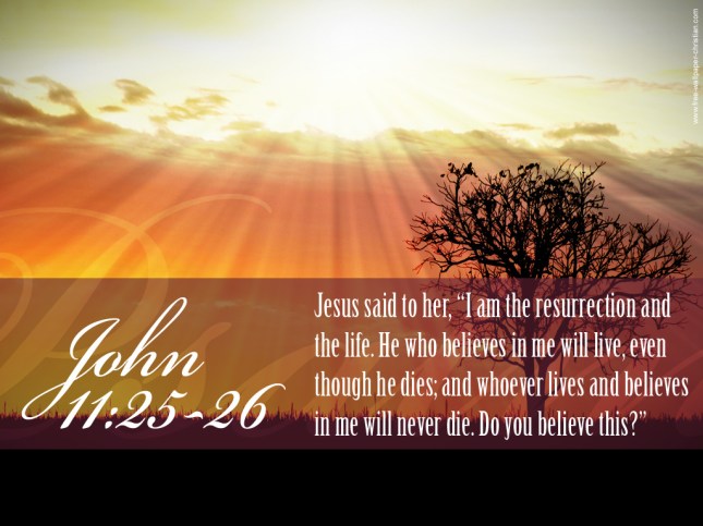 John11-25